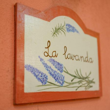 Homeforguest Cosy Rural Flat La Lavanda Surrounded By Nature Tacoronte Exteriör bild