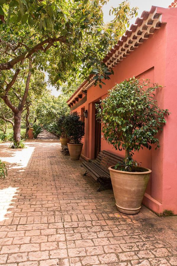 Homeforguest Cosy Rural Flat La Lavanda Surrounded By Nature Tacoronte Exteriör bild