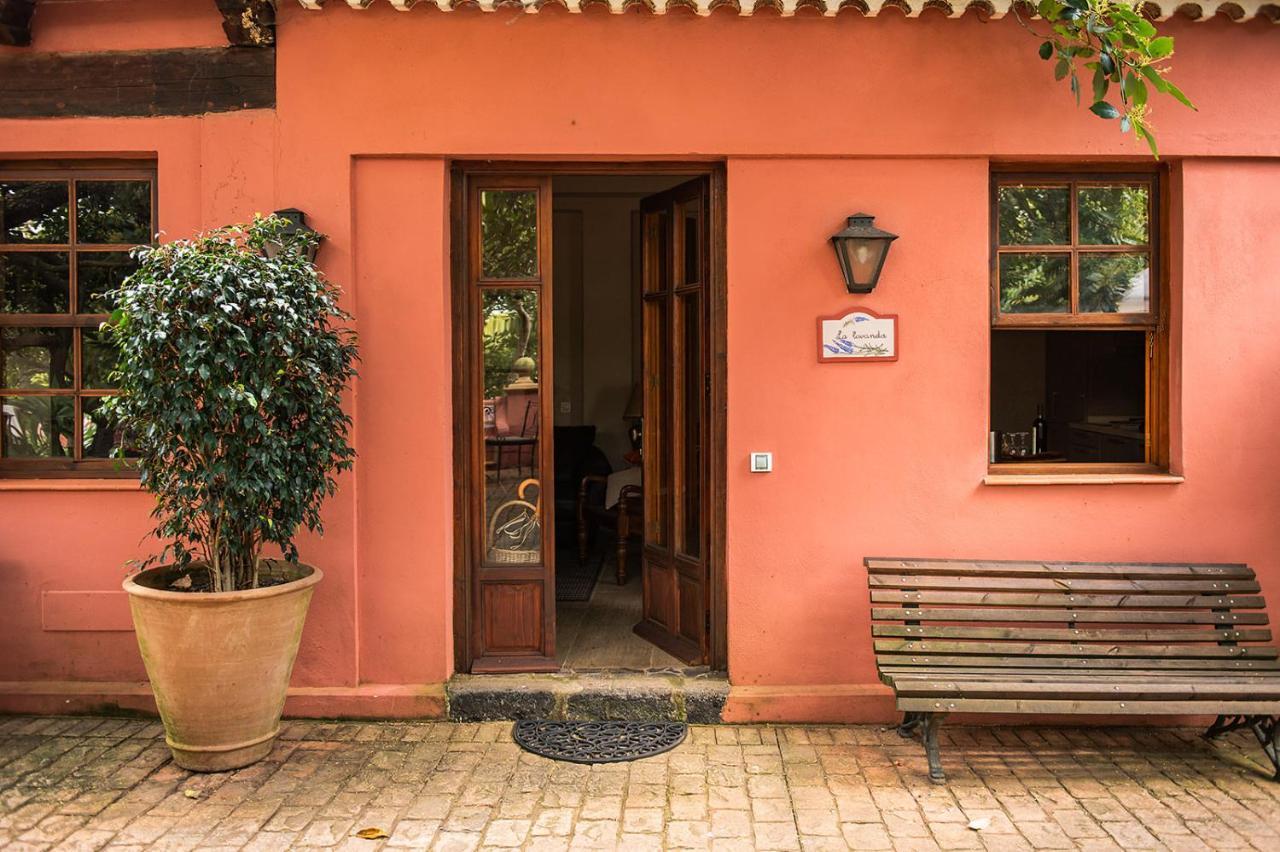 Homeforguest Cosy Rural Flat La Lavanda Surrounded By Nature Tacoronte Exteriör bild