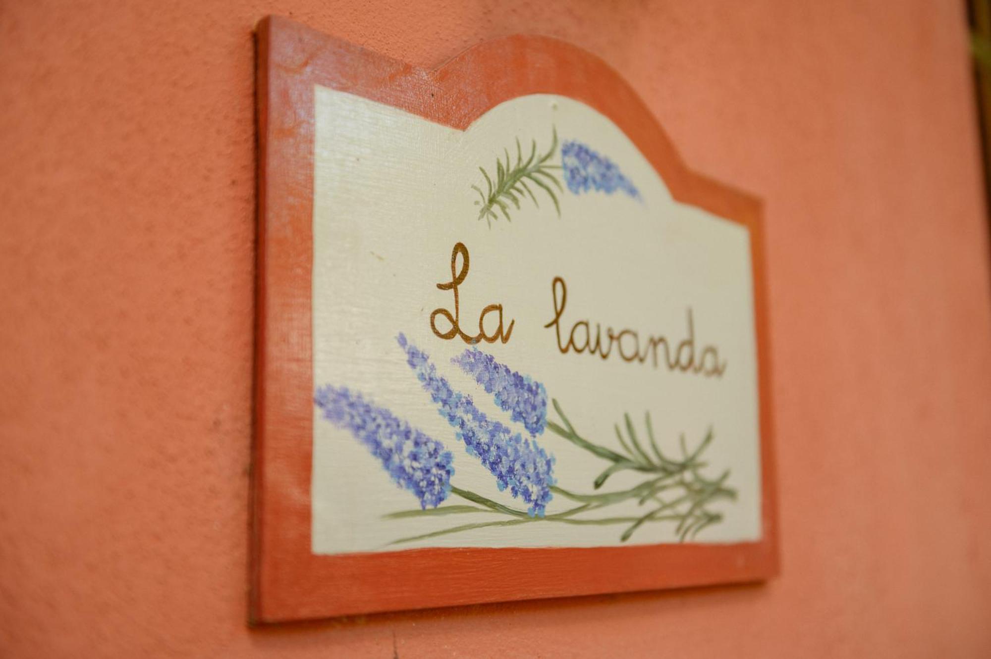 Homeforguest Cosy Rural Flat La Lavanda Surrounded By Nature Tacoronte Exteriör bild